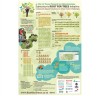 Root for Trees Infographic Poster